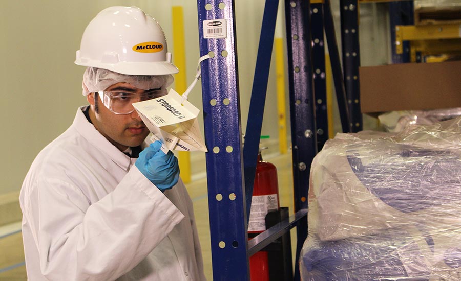 Certificazione Moca. Monitoraggio insetti delle derrate in un'azienda alimentare. Si vede un uomo che controlla una trappola per monitoraggio